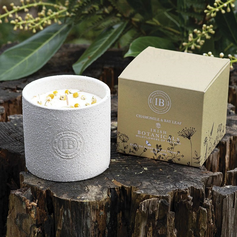 bay leaf and camomile.jpg